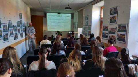 Předškolní a mimoškolní pedagogika v KreBulu