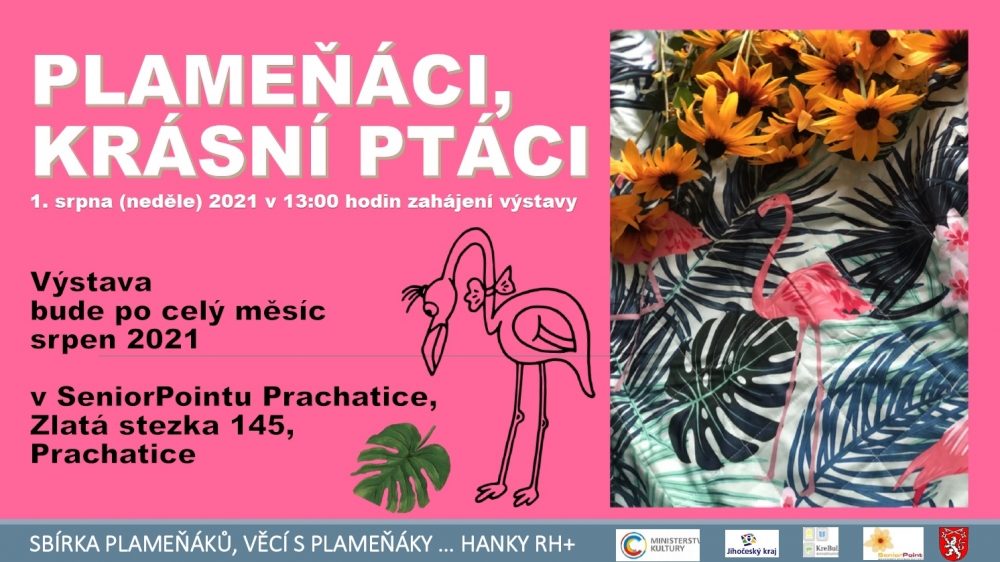 Plakát akce Výstava: Plameňáci, krásní ptáci