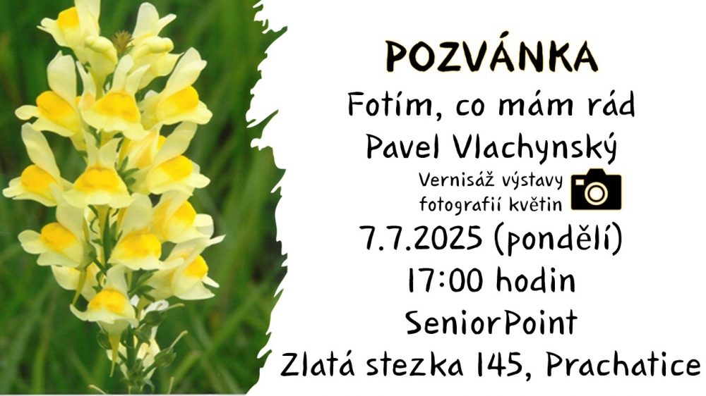 Plakát akce Výstava: Fotím, co mám rád