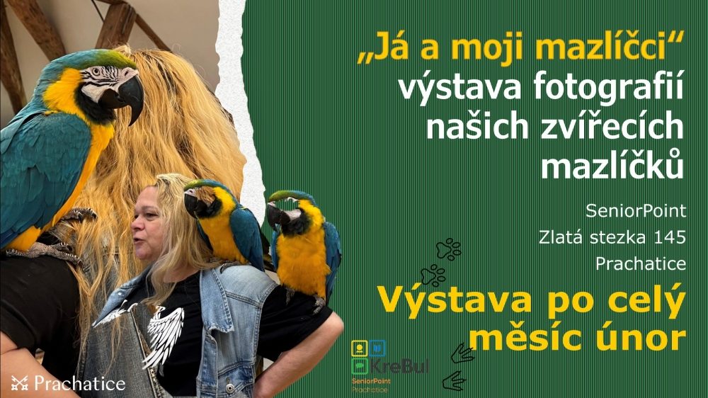 Plakát akce Výstava: Já a moji mazlíčci