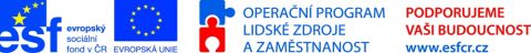I menší organizace se mohou kvalitně vzdělávat