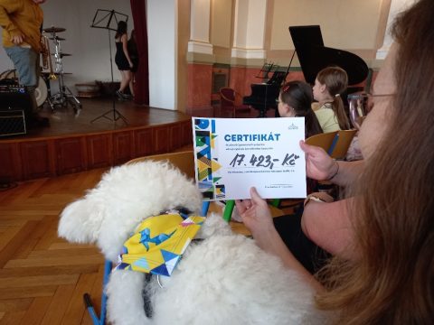 Benefiční koncert pro Hafíka na Gymnáziu Prachatice